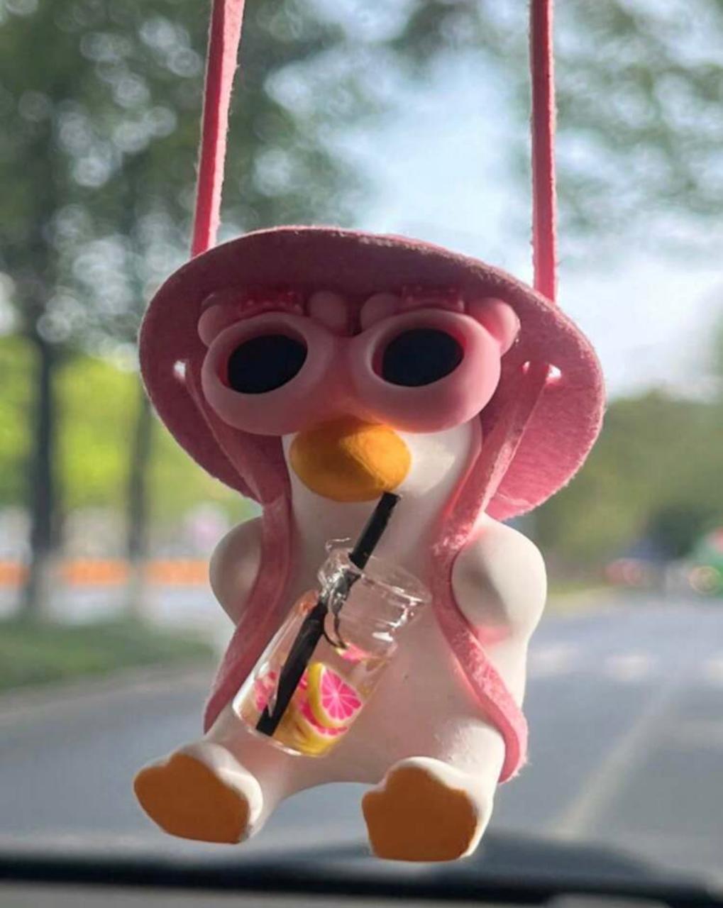 Miss Quackers